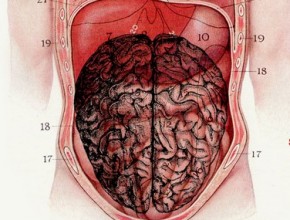 Ventre - 2ème cerveau