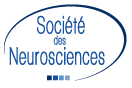 Société des Neurosciences Logo
