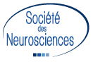 Société des Neurosciences  Logo